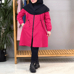 تصویر  بارونی میکرو کمرگتر